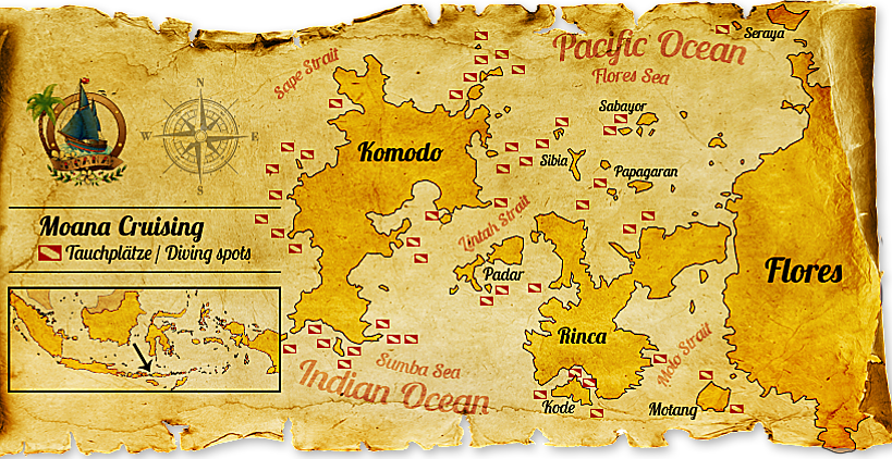 Moana Map Dive opt