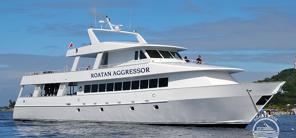 Roatan Agg Ext nologo opt