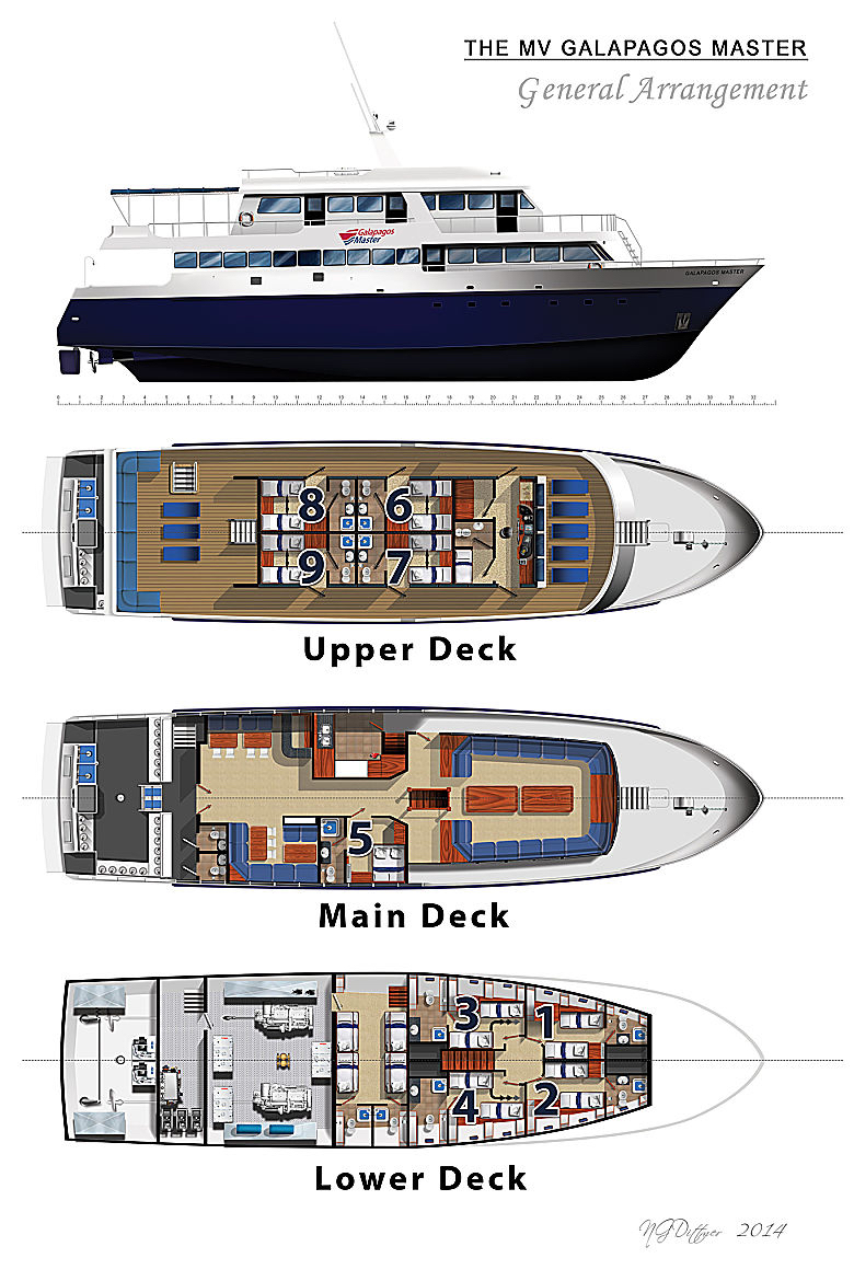 galapagos master deck layout number opt