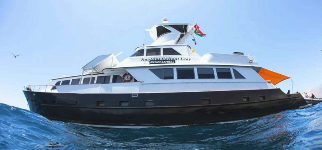 Gallant Lady Exterior