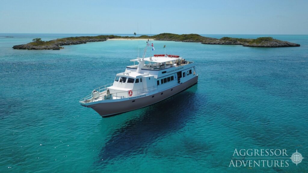 bahamas aggressor